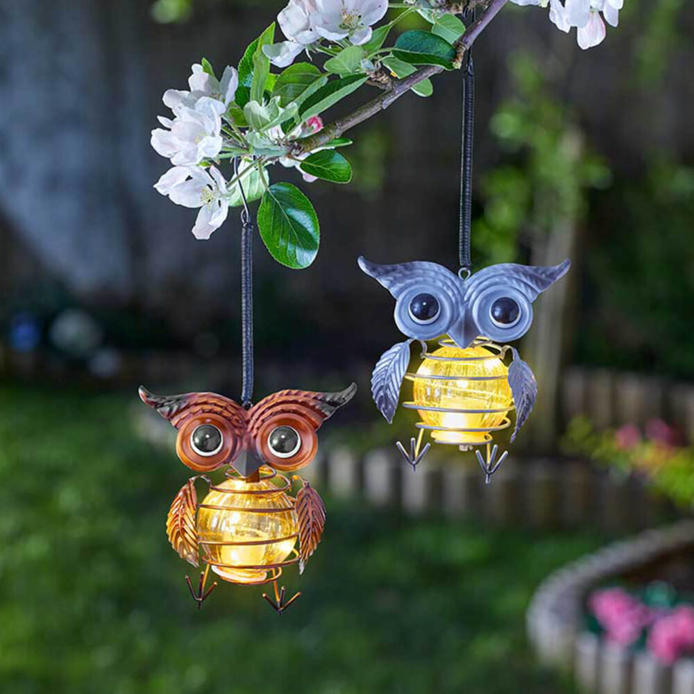 Hanging Owl Lights